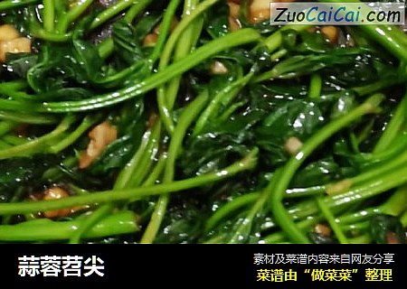 蒜蓉苕尖