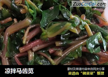 凉拌马齿苋
