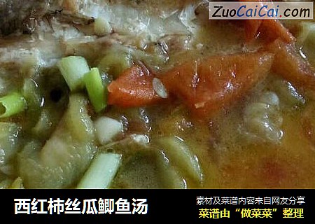 西红柿丝瓜鲫鱼汤