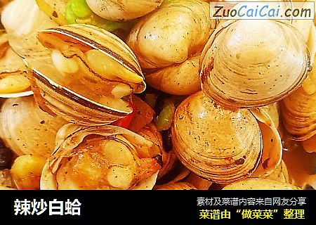 辣炒白蛤