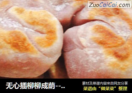 无心插柳柳成荫--紫薯葱油饼