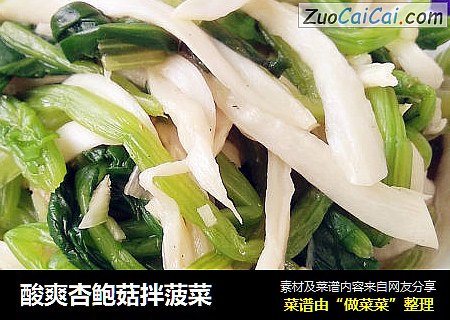 酸爽杏鲍菇拌菠菜