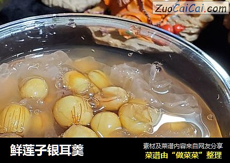 鲜莲子银耳羹