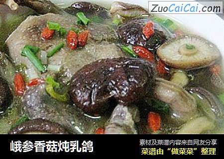 峨参香菇炖乳鸽