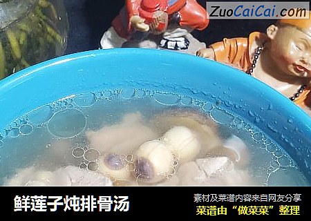 鲜莲子炖排骨汤