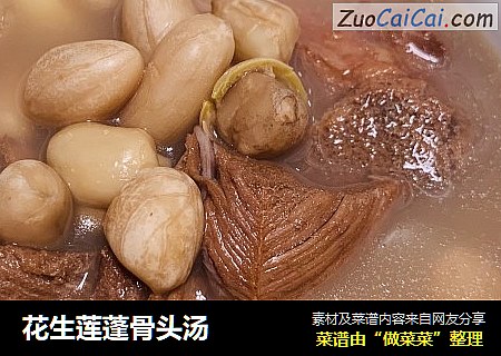 花生莲蓬骨头汤