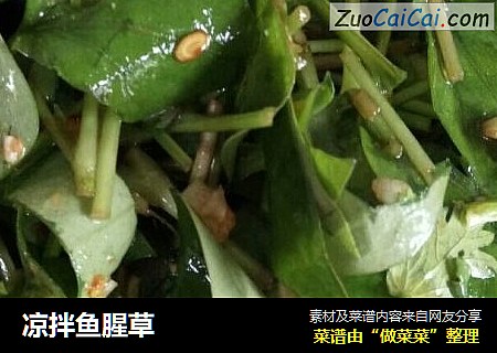 凉拌鱼腥草