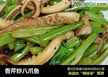 香芹炒八爪鱼