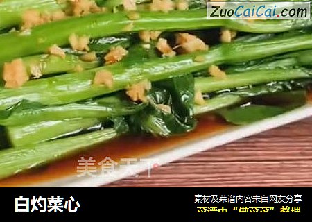 白灼菜心