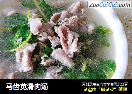 马齿苋滑肉汤