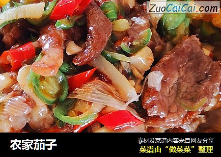 农家茄子