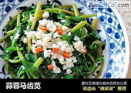 蒜蓉马齿苋