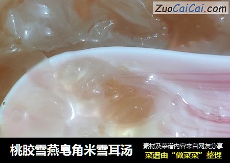 桃胶雪燕皂角米雪耳汤