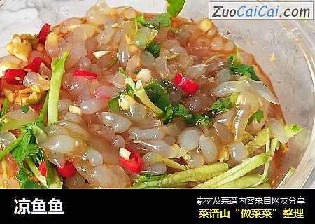 凉鱼鱼