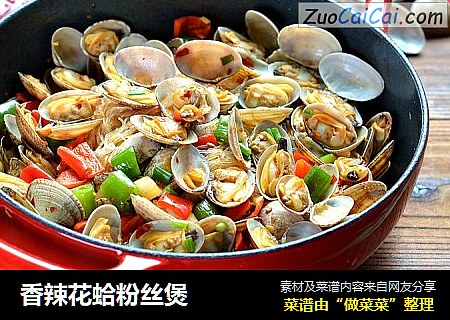 香辣花蛤粉丝煲