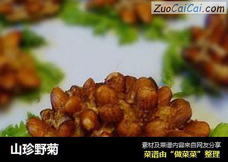 山珍野菊