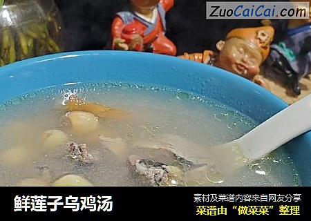 鲜莲子乌鸡汤
