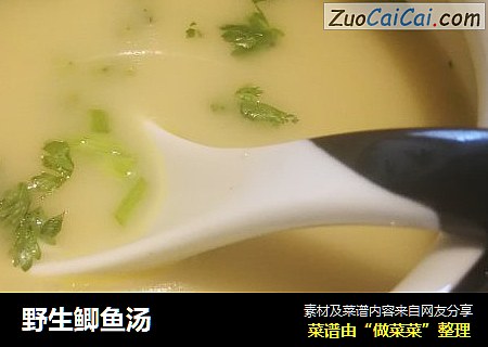 野生鲫鱼汤