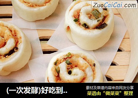 (一次发酵)好吃到停不下来的香甜肉松手撕馒头卷