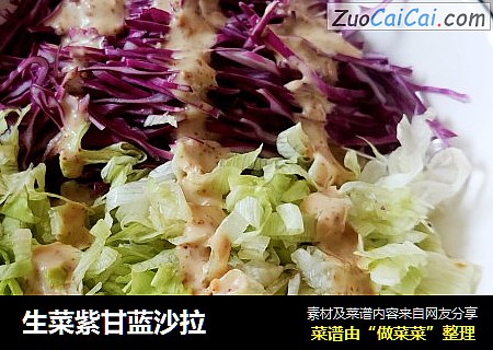 生菜紫甘蓝沙拉