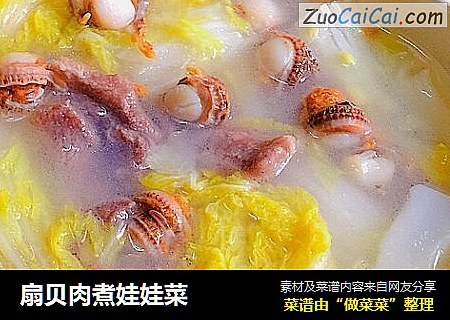 扇贝肉煮娃娃菜