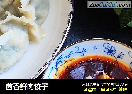 茴香鲜肉饺子
