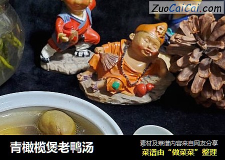 青橄榄煲老鸭汤