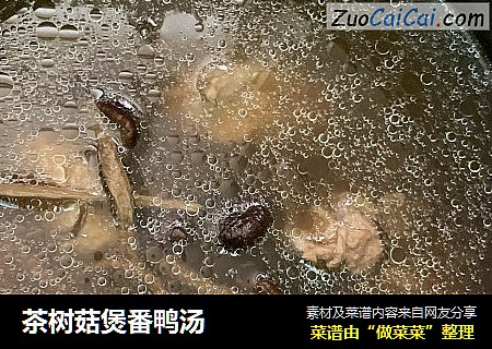 茶树菇煲番鸭汤