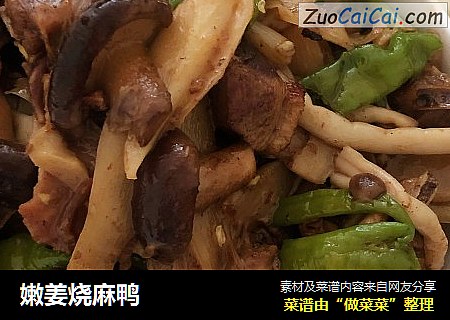 嫩姜烧麻鸭
