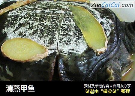 清蒸甲鱼