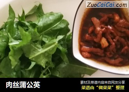 肉丝蒲公英