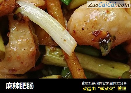 麻辣肥肠