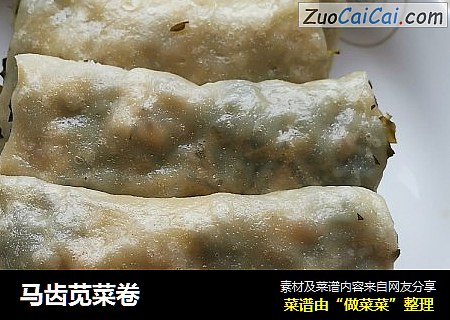 马齿苋菜卷