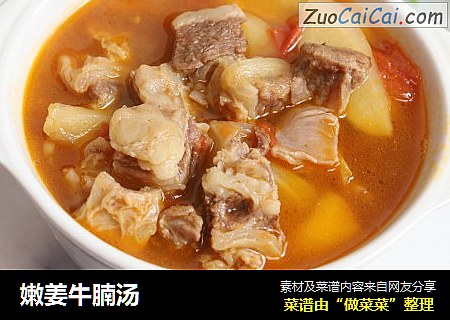 嫩姜牛腩汤
