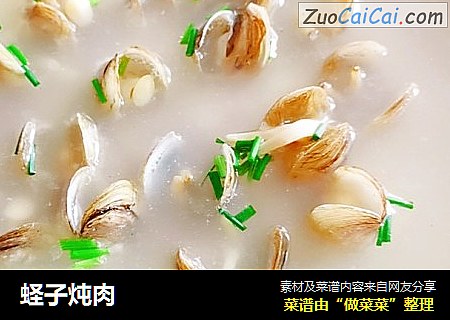 蛏子炖肉