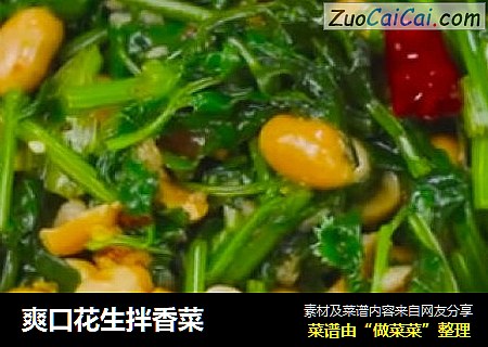 爽口花生拌香菜