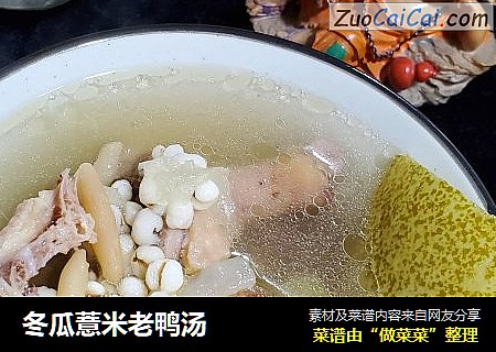 冬瓜薏米老鸭汤