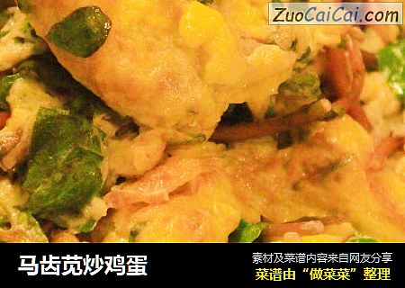 马齿苋炒鸡蛋