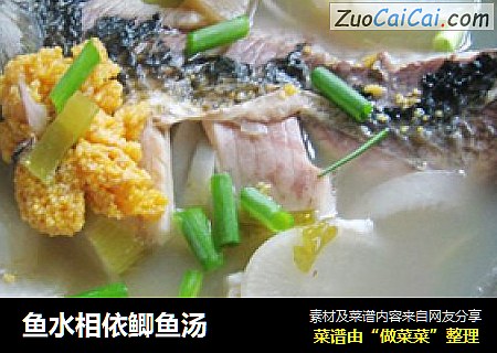 鱼水相依鲫鱼汤