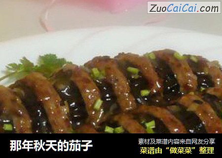 那年秋天的茄子