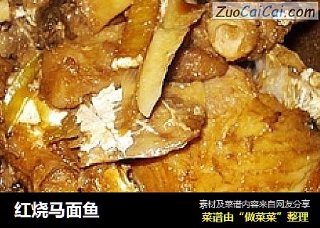 红烧马面鱼