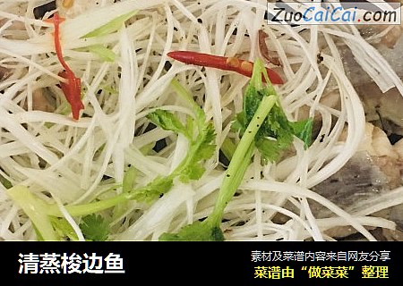 清蒸梭边鱼