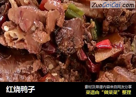 红烧鸭子