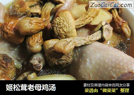 姬松茸老母鸡汤