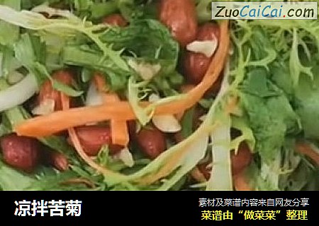 凉拌苦菊