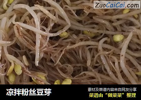 凉拌粉丝豆芽