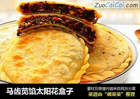 马齿苋馅太阳花盒子