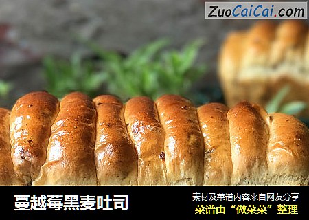 蔓越莓黑麦吐司 