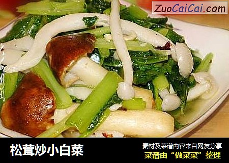 松茸炒小白菜