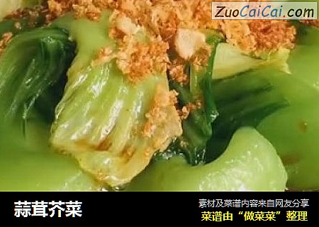 蒜茸芥菜